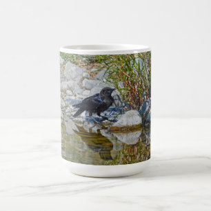Mug Jeune corbeau noir reflété dans la piscine
