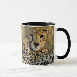 Mug Jeune guépard câlinant sa mère