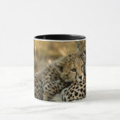 Mug Jeune guépard câlinant sa mère (Centre)