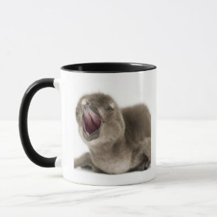 Mug Jeune pingouin africain - Spheniscus demersus.