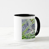 Mug jeune portrait de chat (Devant droit)