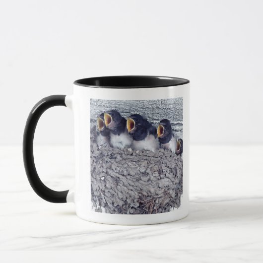 Mug jeunes hirondelles de grange (Gauche)
