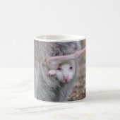 Mug Joey albinos dans la poche (Centre)