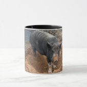 Mug Joey’s Morning Routine : Dirt First, Coffee Second (Centre)