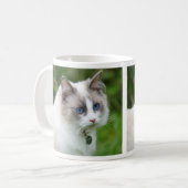 Mug Joli Chat Ragdoll aux Yeux Bleus (Devant gauche)