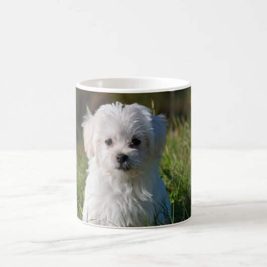 Mug Joli chiot blanc (Centre)