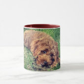 Mug Joli Golden Doodle (Centre)