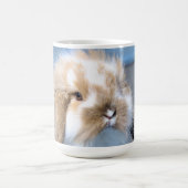 Mug Joli lapin blanc et brun flamand (Centre)