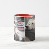 Mug Joli Noël Pacifique Blanc Chien Chien Chien Rouge (Centre)