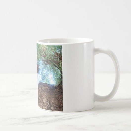 Mug Joli petit chaton jouant dans les bois (Droite)