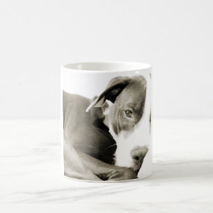 Mug joli pitbull endormi paresseux