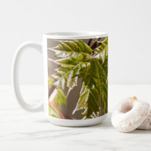 Mug Jolie branche d'érable verte avec de petites feuil