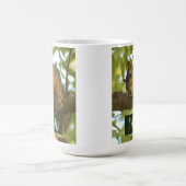 Mug Jolie Curious écureuil Nature Photographie (Centre)