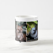 Mug Jote Bunny Empreintes de pattes Quatre animaux de (Centre)