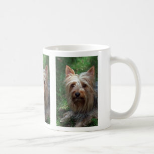 Mug Jouet Terrier soyeux