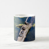 Mug Journal des tortues du Metropark Lake Erie (Centre)