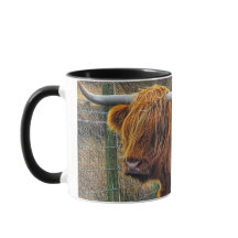 Joyeux Coosday à vous