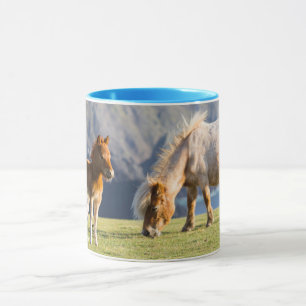 Mug Jument avec poulain, îles Shetland, Écosse