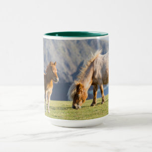 Mug Jument avec poulain, îles Shetland, Écosse
