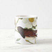 Mug Junco aux yeux foncés par Audubon (Centre)