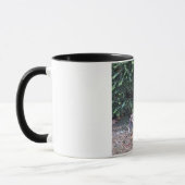 Mug jungle de Kitty (Gauche)