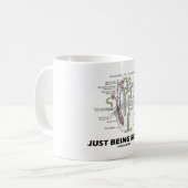 Mug Juste étant rénal (néphron de rein) (Devant gauche)