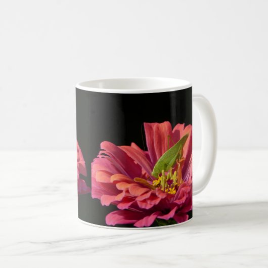 Mug Katydid sur Zinnia (Devant droit)