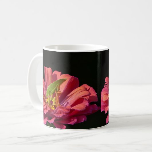 Mug Katydid sur Zinnia (Devant gauche)