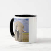 Mug Kenya : Parc national d'Amboseli, éléphant mâle (Devant gauche)