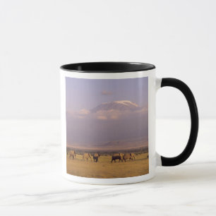 Mug Kenya : parc national d'Amboseli, Éléphants