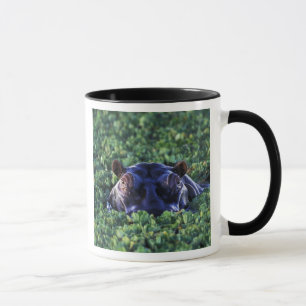 Mug Kenya, réserve nationale du Masai Mara.