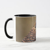 Mug Kestrel américain (Gauche)