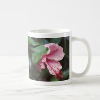 Mug ketmie rose