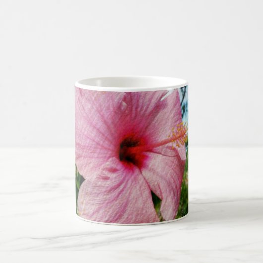 Mug Ketmie rose (Centre)