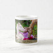 Mug Ki Lu Ro (Centre)