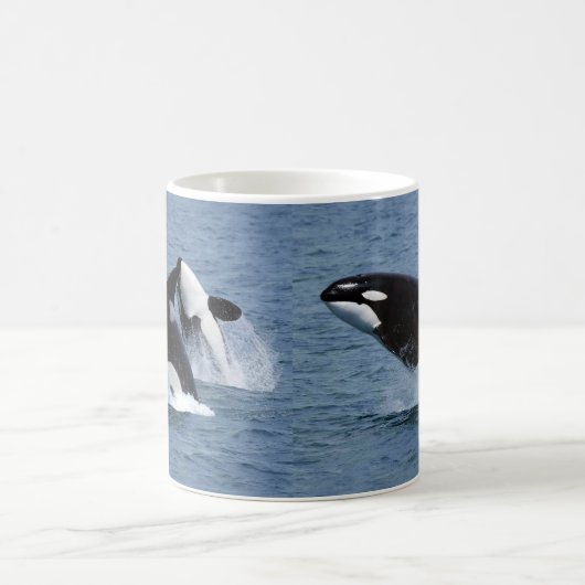 Mug Killer whale (Centre)