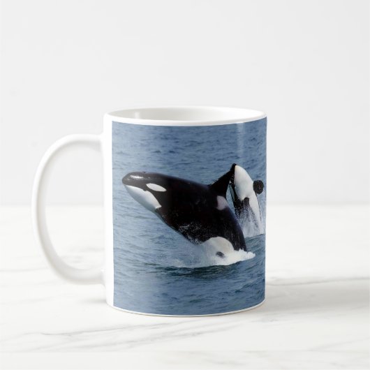 Mug Killer whale (Gauche)