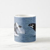 Mug Killer whales (Centre)
