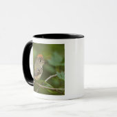 Mug Kinglet couronné de rubis masculin, Regulus calend (Devant gauche)