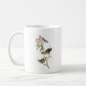 Mug Kinglet Rubis-couronné par Audubon (Gauche)
