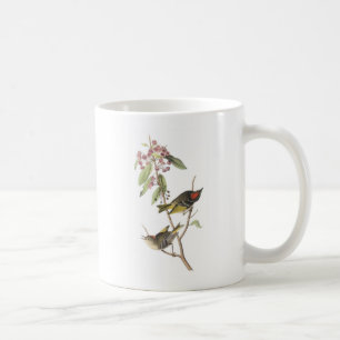 Mug Kinglet Rubis-couronné par Audubon
