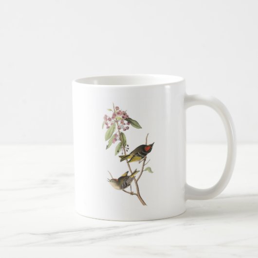 Mug Kinglet Rubis-couronné par Audubon (Droite)