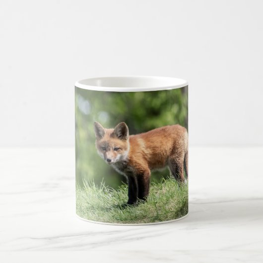 Mug Kit de Fox rouge (Centre)