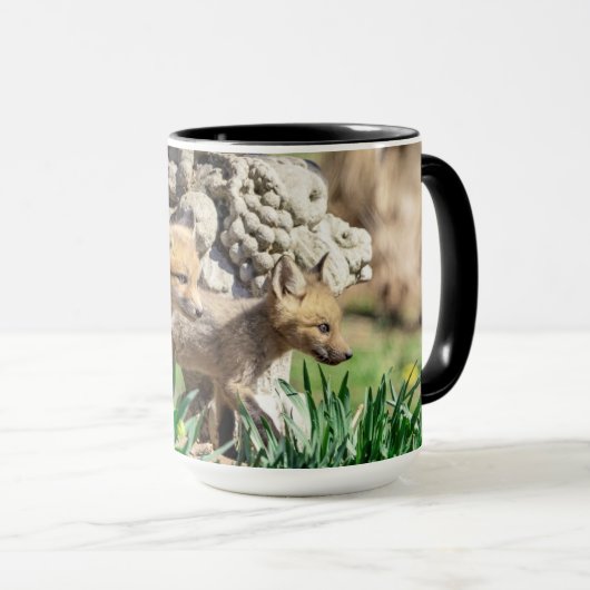 Mug Kits Fox dans la vallée de l'Hudson (Devant droit)