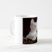 Mug Kitten blanc vulnérable (Devant gauche)