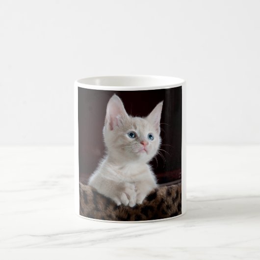 Mug Kitten blanc vulnérable (Centre)