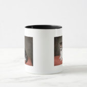 Mug Kitten de Mlle Ann White's, 1790 de George Stubbs (Centre)