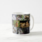 Mug Kitties partout (Devant droit)