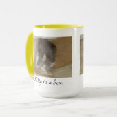 Mug Kitty dans une boîte (Devant gauche)