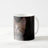 Mug Kitty rouge - jeune chat, arrière - plan noir (Devant droit)